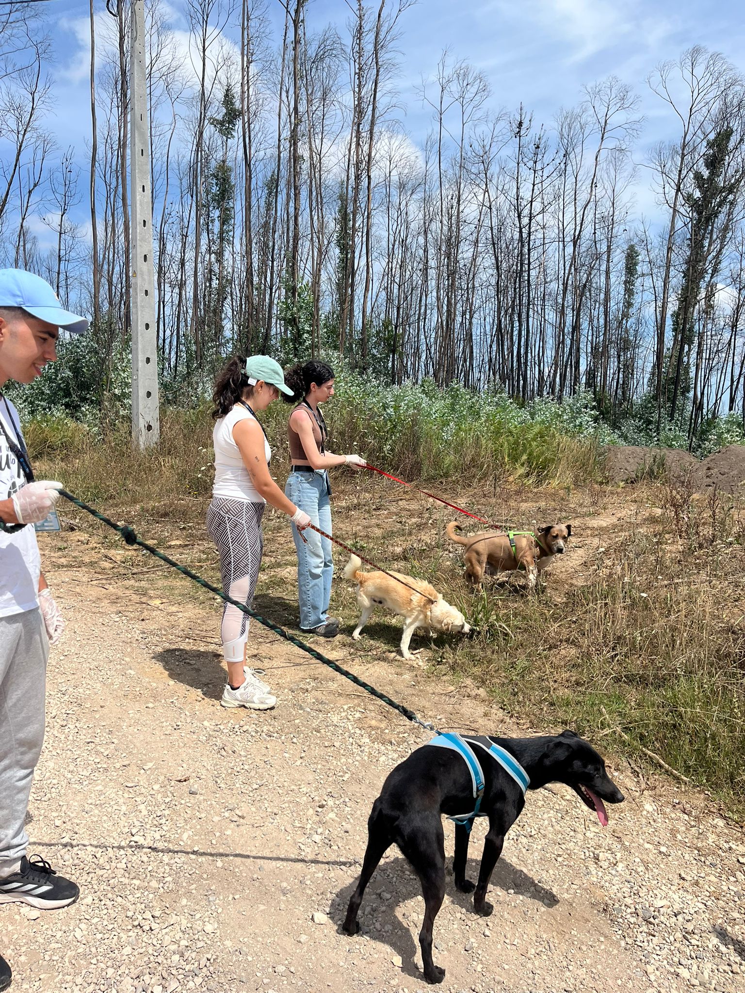 71d6b56a-c662-4b86-ace7-c5a29029884f (1)