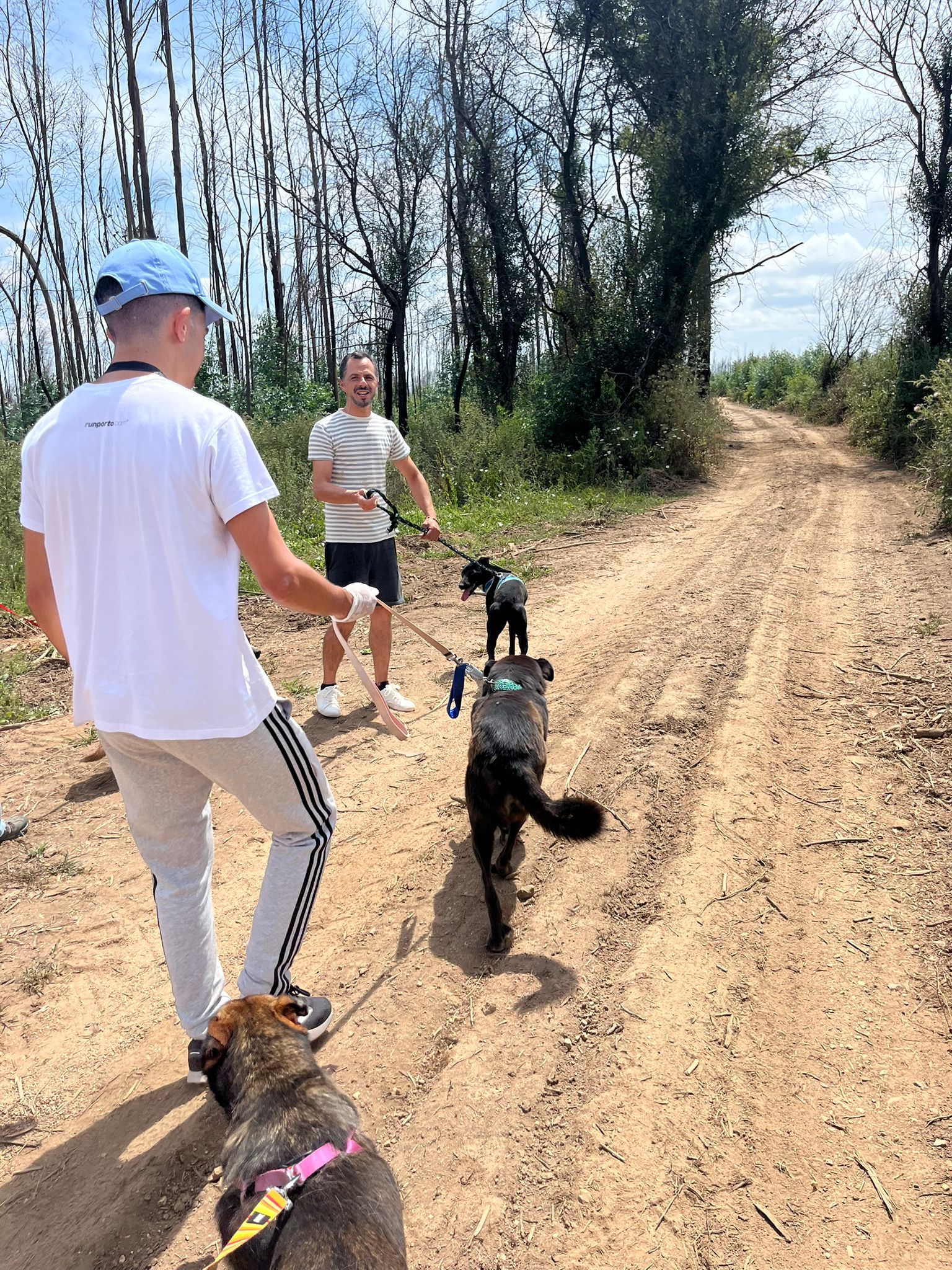 7f196ca1-33f7-48ac-a946-ea8c43199fed