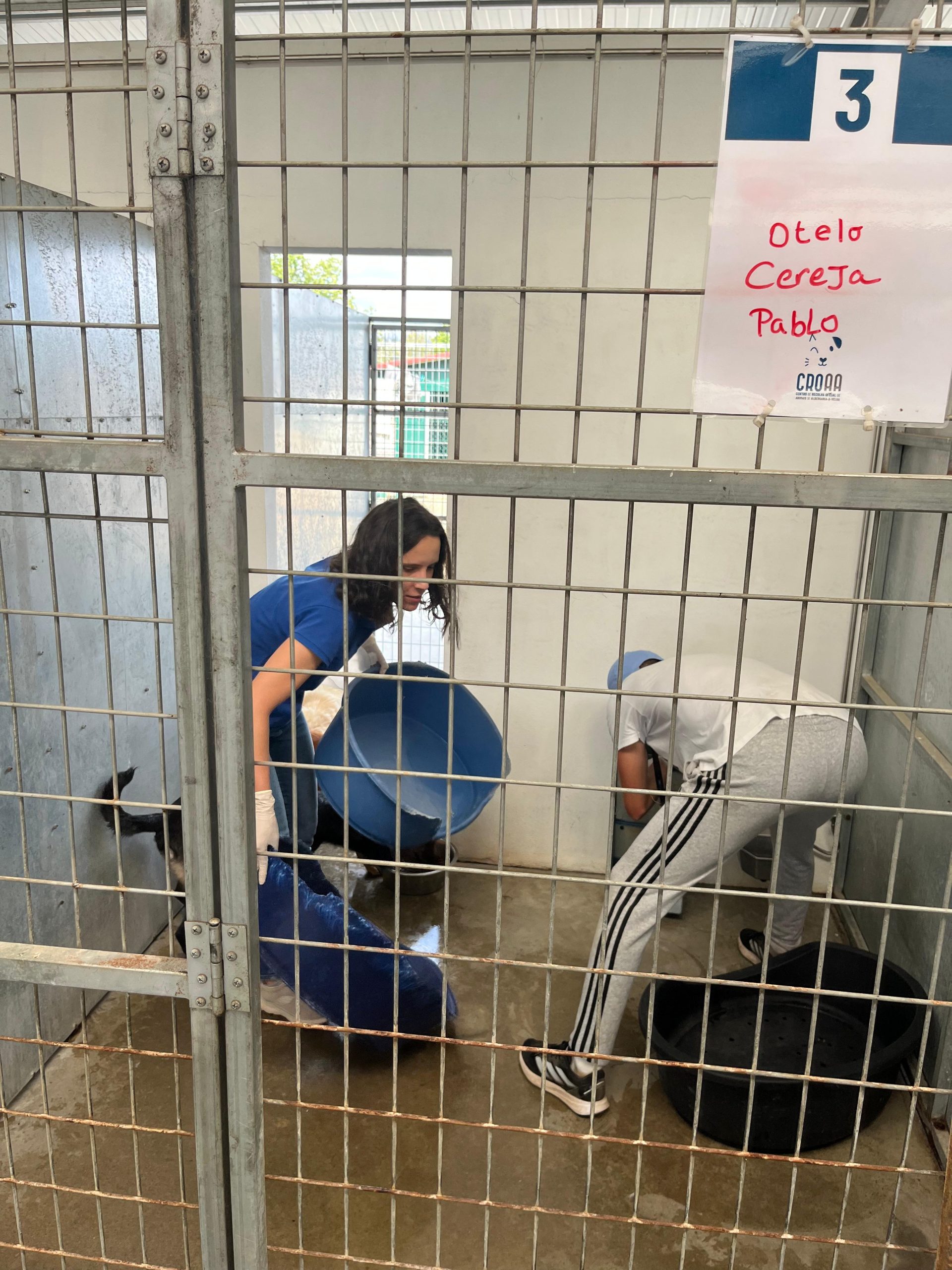 8a5fb5a4-d069-4e46-a408-e54ab604544b