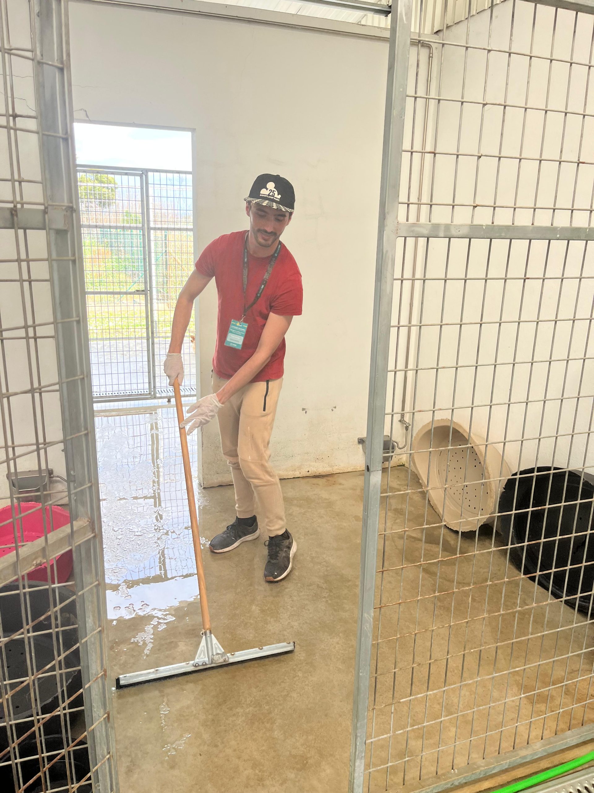 906fa069-88ad-41b0-ab29-ef642c219c81 (1)