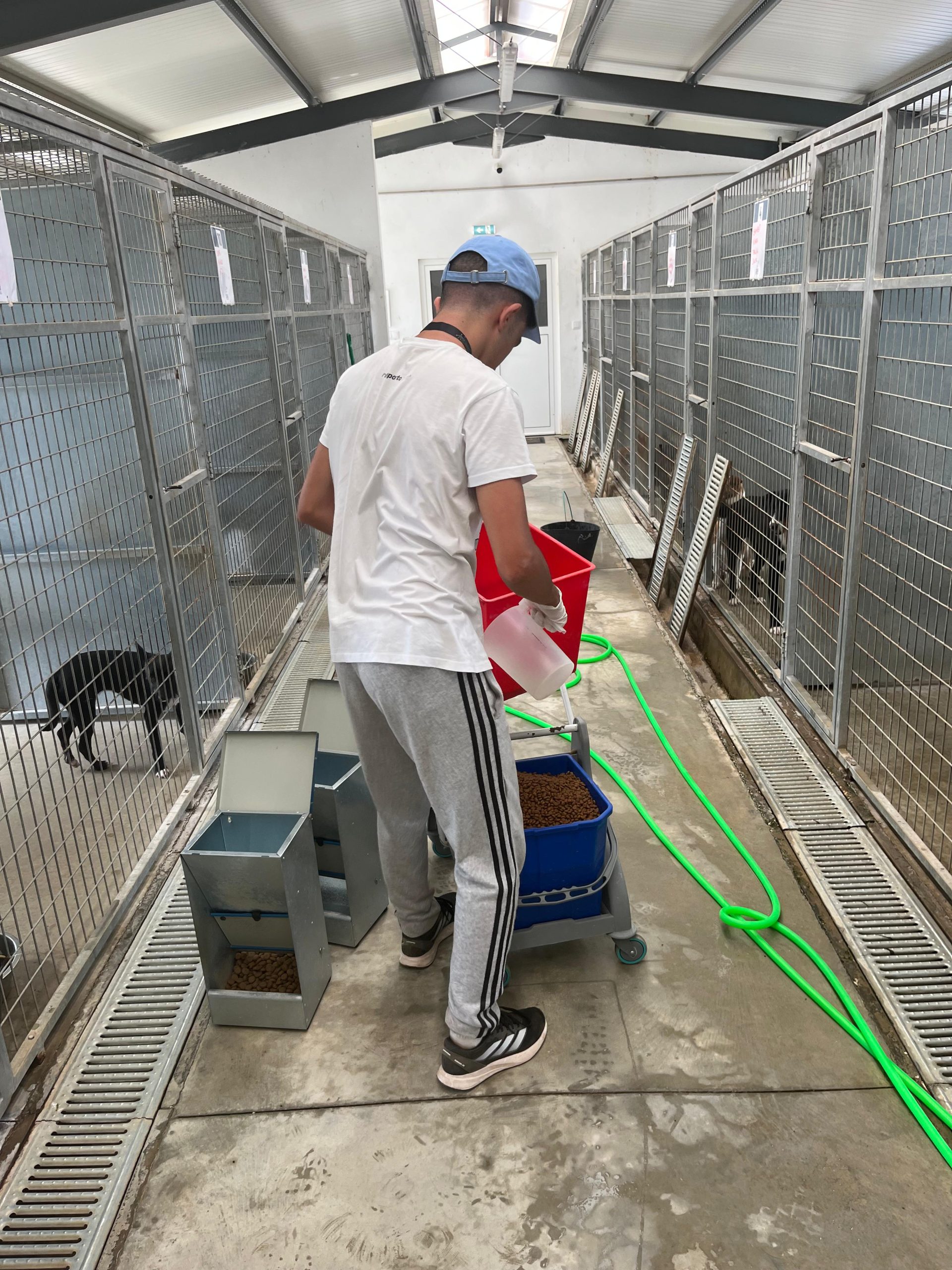 95d6bbb2-638a-4b2f-a1e7-51a63417217a (1)