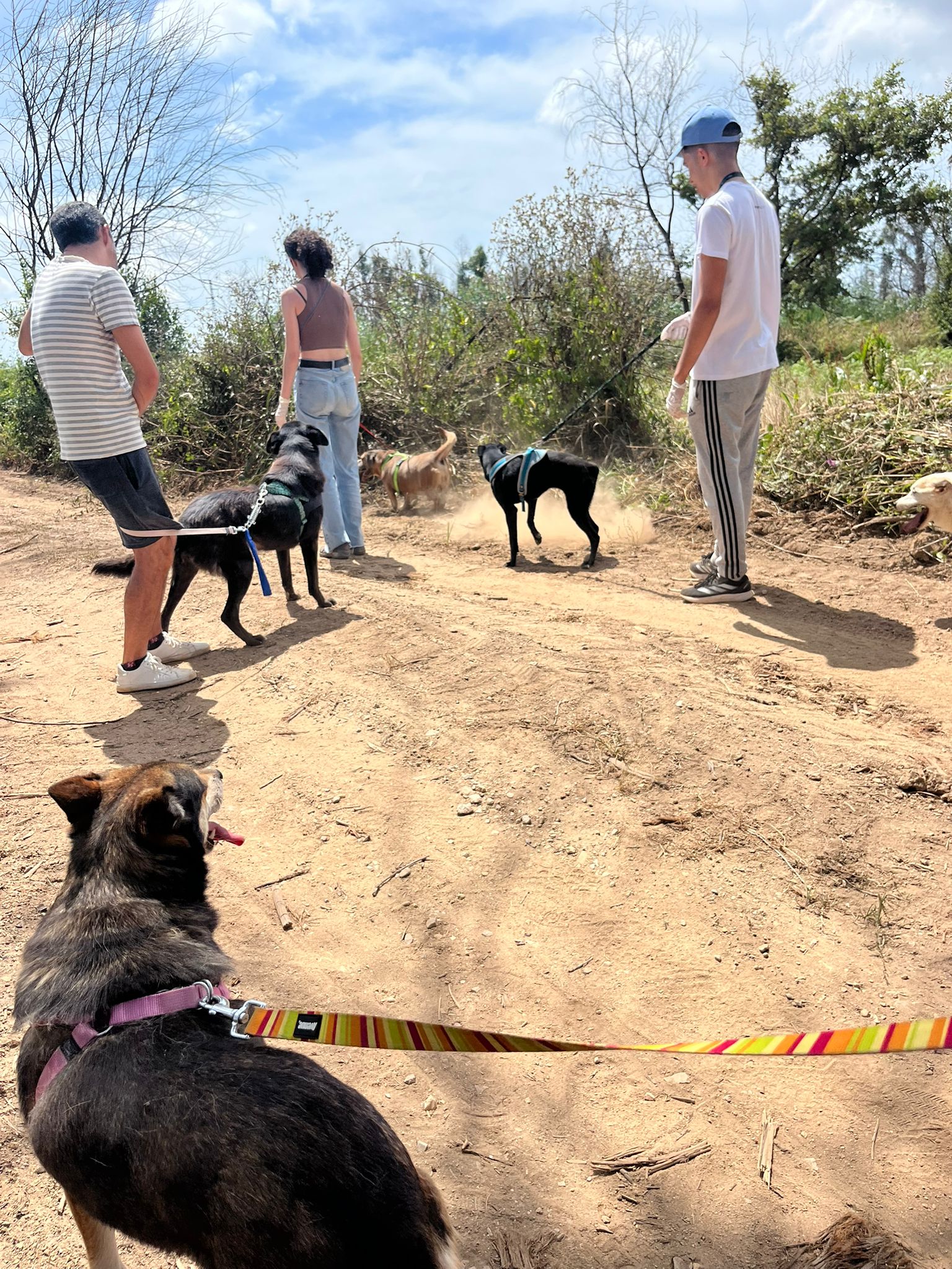 9fd68483-6614-4c14-aec2-b01ea231ab17 (1)