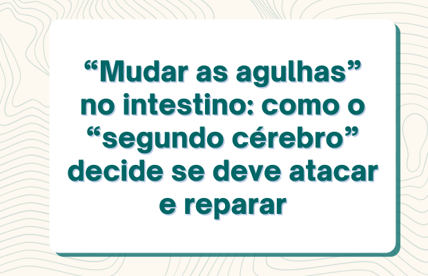 Notícias Biomédicas (3)