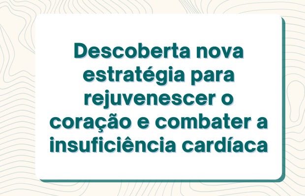 Notícias Biomédicas (4)