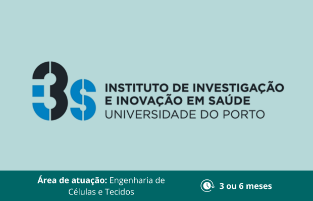 Plataforma de estágio verão (4)